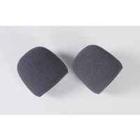 FG 09466/05 Foam Filter, 2pcs.